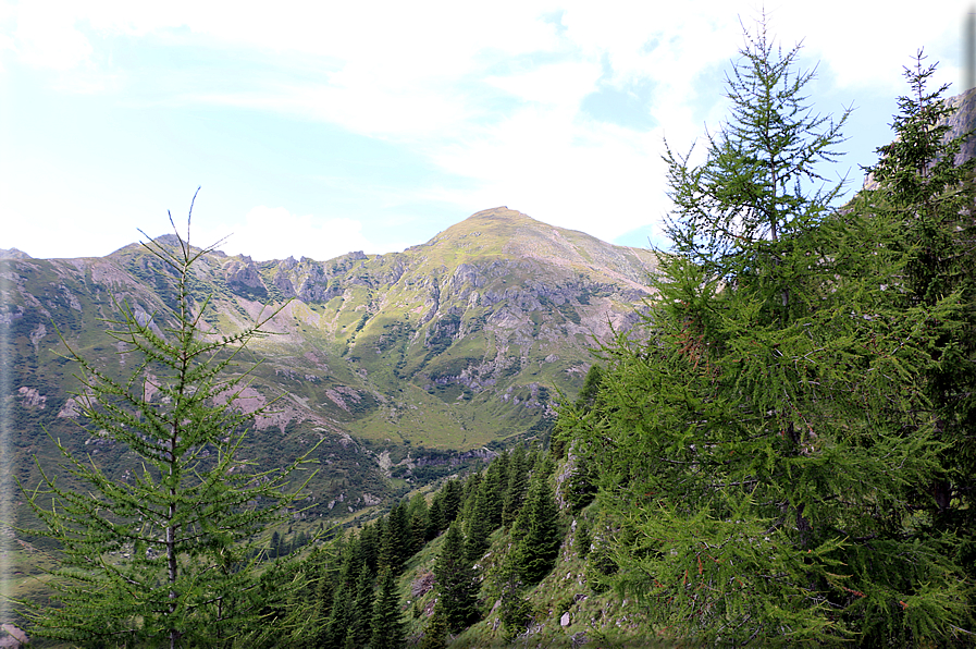 foto Da Forcella Montalon a Val Campelle